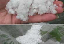 Крупный град испортил карагандинцам выходной Крупный град испортил карагандинцам выходной