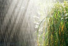 На большей части Казахстана 18 июля пройдут дожди с грозами На большей части Казахстана 18 июля пройдут дожди с грозами