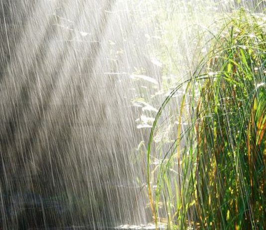 На большей части Казахстана 18 июля пройдут дожди с грозами На большей части Казахстана 18 июля пройдут дожди с грозами
