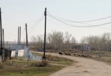 Житель «сонных» Калачей проиграл суд по иску к местным властям Житель "сонных" Калачей проиграл суд по иску к местным властям