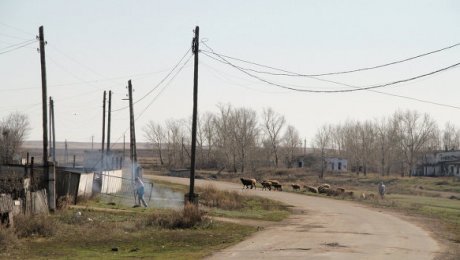 Житель «сонных» Калачей проиграл суд по иску к местным властям Житель "сонных" Калачей проиграл суд по иску к местным властям