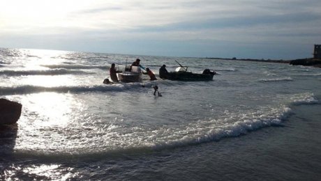 Семилетний ребенок утонул в водоеме в Балхаше Семилетний ребенок утонул в водоеме в Балхаше