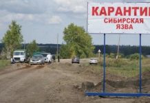 В Павлодарской области заподозрили сибирскую язву у двух жителей села В Павлодарской области заподозрили сибирскую язву у двух жителей села