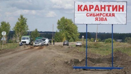 В Павлодарской области заподозрили сибирскую язву у двух жителей села В Павлодарской области заподозрили сибирскую язву у двух жителей села