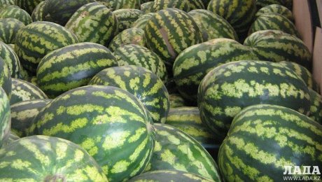 В Актау определены 140 точек для продажи арбузов и дынь В Актау определены 140 точек для продажи арбузов и дынь