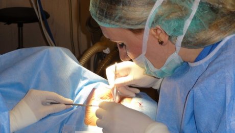 Костанайские врачи не станут извлекать пулю из глаза 13-летней спортсменки Костанайские врачи не станут извлекать пулю из глаза 13-летней спортсменки