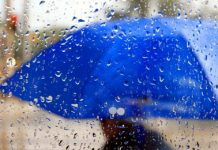 11 июля на большей части Казахстана ожидаются дожди 11 июля на большей части Казахстана ожидаются дожди