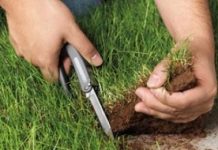 Юрист предложил свой вариант решения земельного вопроса в Казахстане Юрист предложил свой вариант решения земельного вопроса в Казахстане