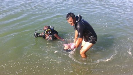 За минувшие сутки в водоемах страны утонули 15 человек За минувшие сутки в водоемах страны утонули 15 человек