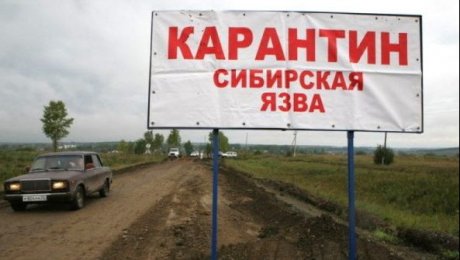 В Карагандинской области в связи с сибирской язвой продлен режим ЧС В Карагандинской области в связи с сибирской язвой продлен режим ЧС
