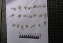 В Рудном полицейские застали мужчину за расфасовкой героина в своей машине В Рудном полицейские застали мужчину за расфасовкой героина в своей машине