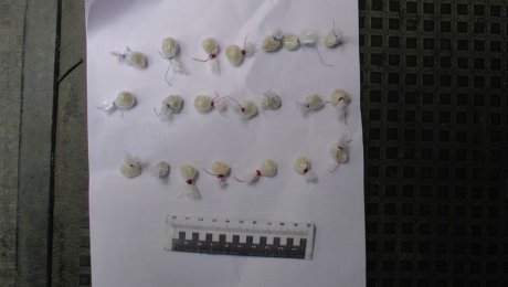 В Рудном полицейские застали мужчину за расфасовкой героина в своей машине В Рудном полицейские застали мужчину за расфасовкой героина в своей машине