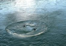 В канале К.Сатпаева в Павлодарской области утонул 21-летний мужчина В канале К.Сатпаева в Павлодарской области утонул 21-летний мужчина