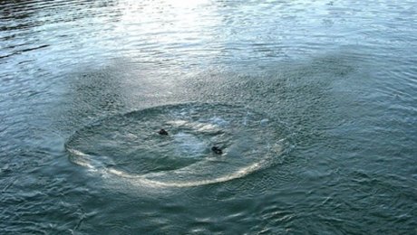 В канале К.Сатпаева в Павлодарской области утонул 21-летний мужчина В канале К.Сатпаева в Павлодарской области утонул 21-летний мужчина