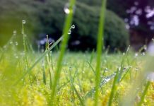 Алдағы тәуліктерде Қазақстан аумағында күн ысып, жа… Алдағы тәуліктерде Қазақстан аумағында күн ысып