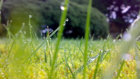 Алдағы тәуліктерде Қазақстан аумағында күн ысып, жа… Алдағы тәуліктерде Қазақстан аумағында күн ысып