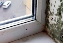 В Костанае женщина отсудила у КСК 600 тысяч тенге за плесень в квартире В Костанае женщина отсудила у КСК 600 тысяч тенге за плесень в квартире