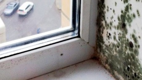 В Костанае женщина отсудила у КСК 600 тысяч тенге за плесень в квартире В Костанае женщина отсудила у КСК 600 тысяч тенге за плесень в квартире