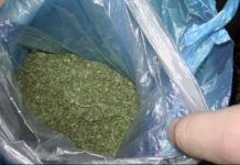 В Кокшетау наркоборцы выявили «яму», находящуюся между школой и детским садом В Кокшетау наркоборцы выявили "яму"