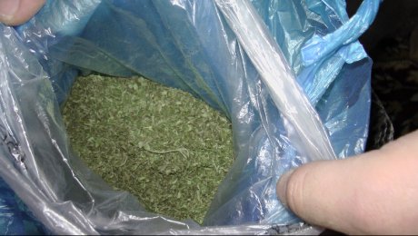 В Кокшетау наркоборцы выявили «яму», находящуюся между школой и детским садом В Кокшетау наркоборцы выявили "яму"