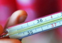 Ребенок заболел бубонной чумой в приграничном с Казахстаном районе России Ребенок заболел бубонной чумой в приграничном с Казахстаном районе России