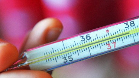 Ребенок заболел бубонной чумой в приграничном с Казахстаном районе России Ребенок заболел бубонной чумой в приграничном с Казахстаном районе России