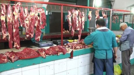 Лаборатории Шымкента начали усиленную проверку мяса в городе Лаборатории Шымкента начали усиленную проверку мяса в городе