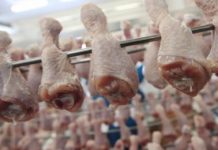 Союз птицеводов Казахстана предлагает ограничить разницу между ценой и себестоимостью Союз птицеводов Казахстана предлагает ограничить разницу между ценой и себестоимостью