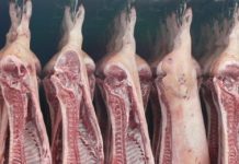 Ограничения на ввоз мяса из Казахстана в РФ сняты частично Ограничения на ввоз мяса из Казахстана в РФ сняты частично