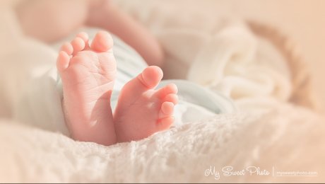 В Акмолинской области в первом полугодии родилось 6176 детей В Акмолинской области в первом полугодии родилось 6176 детей