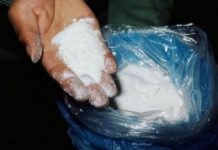 Тайник с 10 килограммами героина нашли полицейские вдоль трассы Астана-Караганда Тайник с 10 килограммами героина нашли полицейские вдоль трассы Астана-Караганда