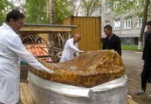 Павлодарлық археологтар Қимақ кезеңіндегі күймені тапты Павлодарлық археологтар Қимақ кезеңіндегі күймені тапты