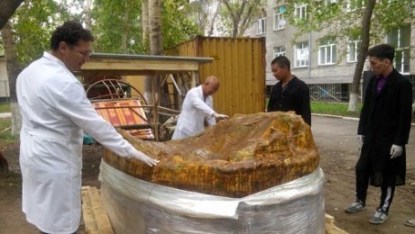 Павлодарлық археологтар Қимақ кезеңіндегі күймені тапты Павлодарлық археологтар Қимақ кезеңіндегі күймені тапты