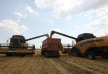 Казахстанские фермеры выступают против сдачи в аренду земель иностранцам Казахстанские фермеры выступают против сдачи в аренду земель иностранцам