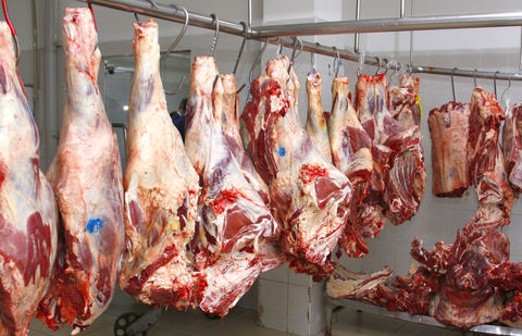 Из-за вспышки сибирской язвы казахстанцы опасаются покупать говядину Из-за вспышки сибирской язвы казахстанцы опасаются покупать говядину