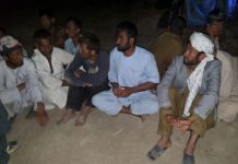 В Казахстане задержали нелегалов, собиравших в степи ферулу вонючую В Казахстане задержали нелегалов