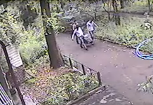 В камеры видеонаблюдения попала кража сейфа из алматинской квартиры В камеры видеонаблюдения попала кража сейфа из алматинской квартиры