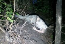 За утро в Алматы произошло три аварии с двумя погибшими За утро в Алматы произошло три аварии с двумя погибшими