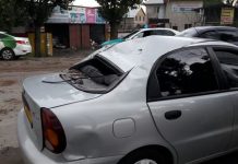 В Алматы дерево упало на машину, есть пострадавшие В Алматы дерево упало на машину