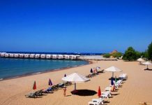 Казахстанских туристов, устроивших драку на Иссык-Куле из-за двух сомов, не накажут Казахстанских туристов