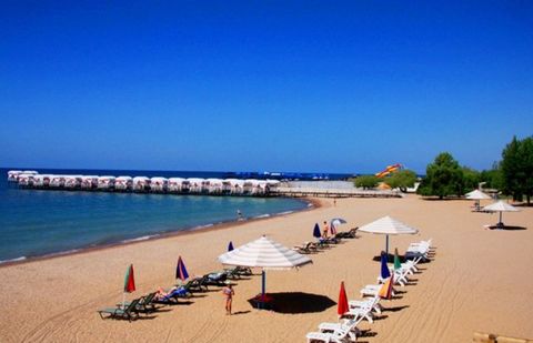 Казахстанских туристов, устроивших драку на Иссык-Куле из-за двух сомов, не накажут Казахстанских туристов