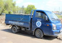 Центр по отлову беспризорных животных в Алматы попытался восстановить свою репутацию Центр по отлову беспризорных животных в Алматы попытался восстановить свою репутацию