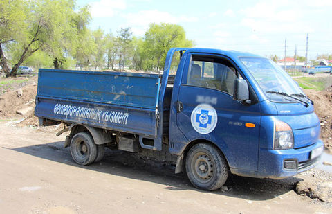 Центр по отлову беспризорных животных в Алматы попытался восстановить свою репутацию Центр по отлову беспризорных животных в Алматы попытался восстановить свою репутацию