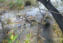 В Малой Алматинке нашли труп мужчины В Малой Алматинке нашли труп мужчины