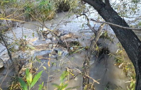 В Малой Алматинке нашли труп мужчины В Малой Алматинке нашли труп мужчины