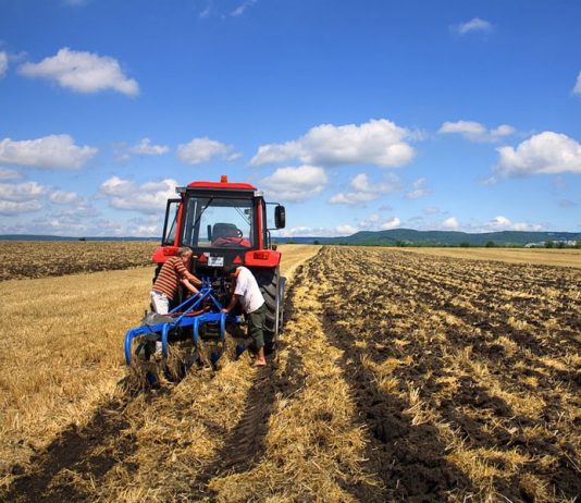В Кызылординской области прошла встреча членов земельной комиссии с аграриями В Кызылординской области прошла встреча членов земельной комиссии с аграриями