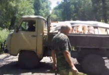 Застрявший по дороге на зону отдыха «Москвич», гружёный трупами собак, снял житель Семея Застрявший по дороге на зону отдыха "Москвич"