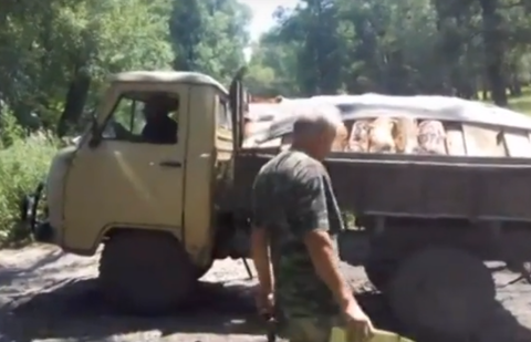 Застрявший по дороге на зону отдыха «Москвич», гружёный трупами собак, снял житель Семея Застрявший по дороге на зону отдыха "Москвич"