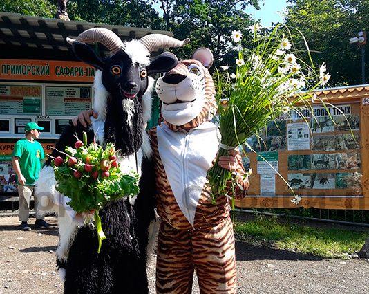 Козёл Тимур и тигр Амур снова встретились