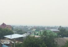 Север Казахстана накрыл смог от российских лесных пожаров